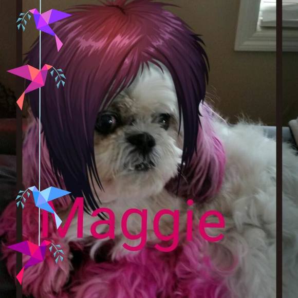 Meet the Posher Other - Meet your Posher, Maureen